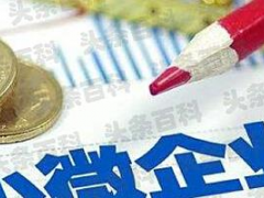 小微企業(yè)稅務(wù)申報流程