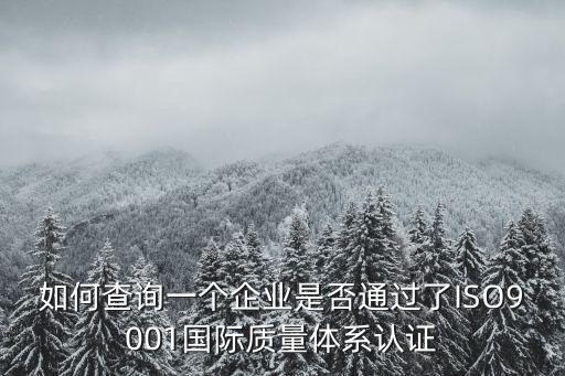 如何查詢一個企業(yè)是否通過了ISO9001國際質(zhì)量體系認(rèn)證