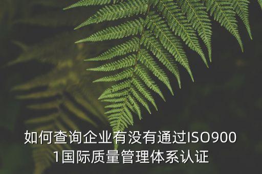 如何查詢企業(yè)有沒有通過(guò)ISO9001國(guó)際質(zhì)量管理體系認(rèn)證