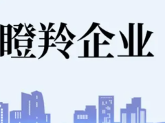 佛山瞪羚企業(yè)認(rèn)定條件、扶持政策最高補貼100萬