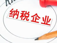 2024年企業(yè)所得稅有哪些優(yōu)惠?